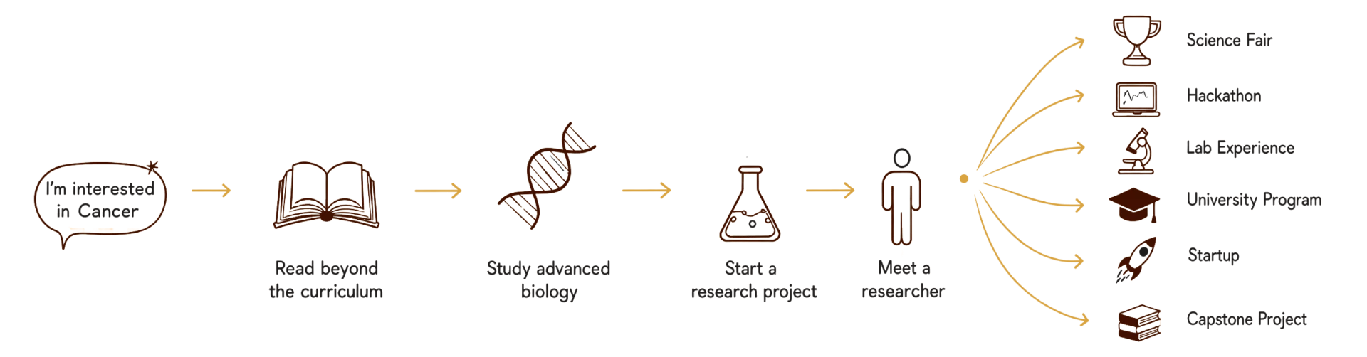 Diagram of a student's journey: interest in cancer leads to reading beyond the curriculum, studying advanced biology, starting a research project and meeting a researcher, branching into a science fair, hackathon, lab experience, university program, startup, or capstone project